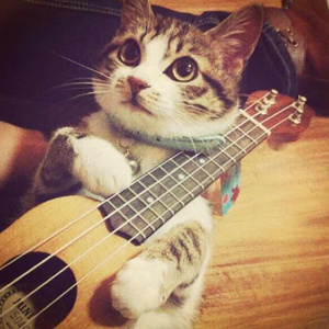 师母归来2高清在线播放
